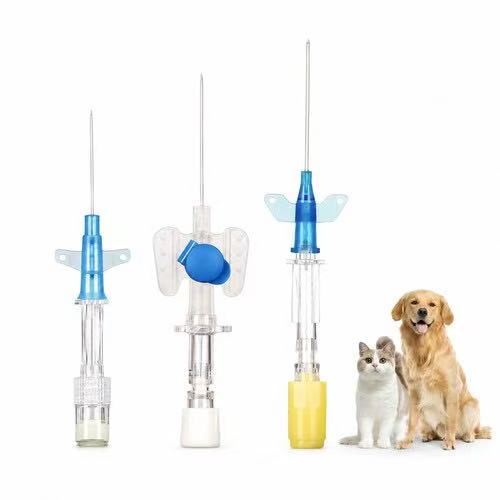 Veterinary IV Catheter Feature Image